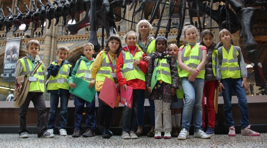 Discovery Summer - Collingham College - Londra - İngiltere