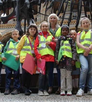 Discovery Summer - Collingham College - Londra - İngiltere