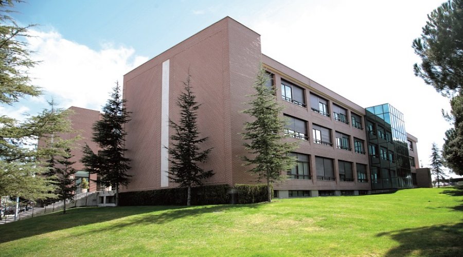 Enforex - Madrid - İspanya