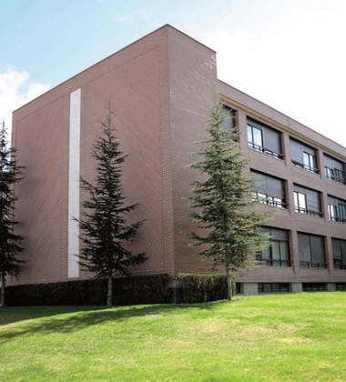 Enforex - Madrid - İspanya