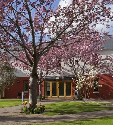 Emerald Cultural Institute - Trinity College - Dublin - İrlanda