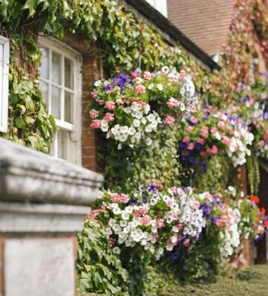 Beet Language Center - Bournemouth - İngiltere