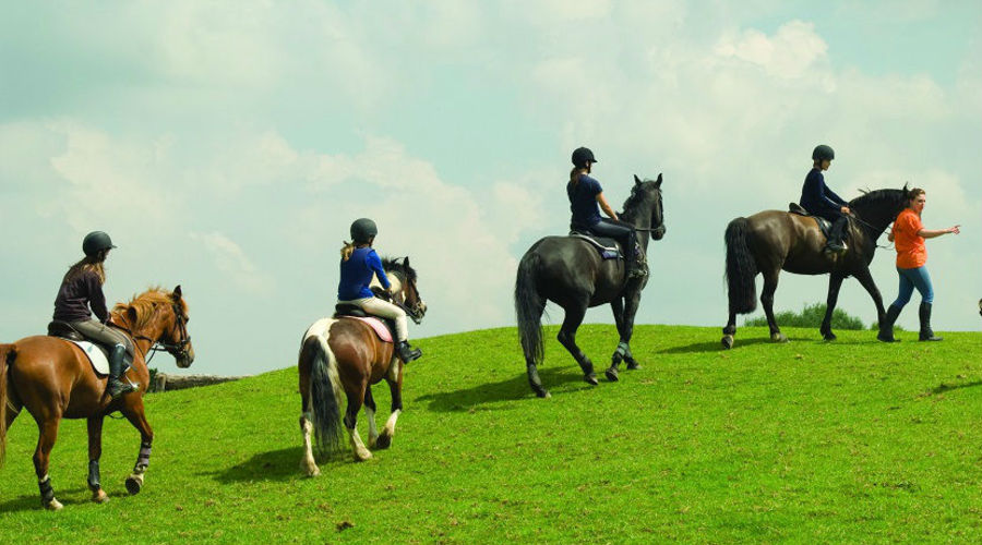 Exportise Oundle School - Peterborough - İngiltere