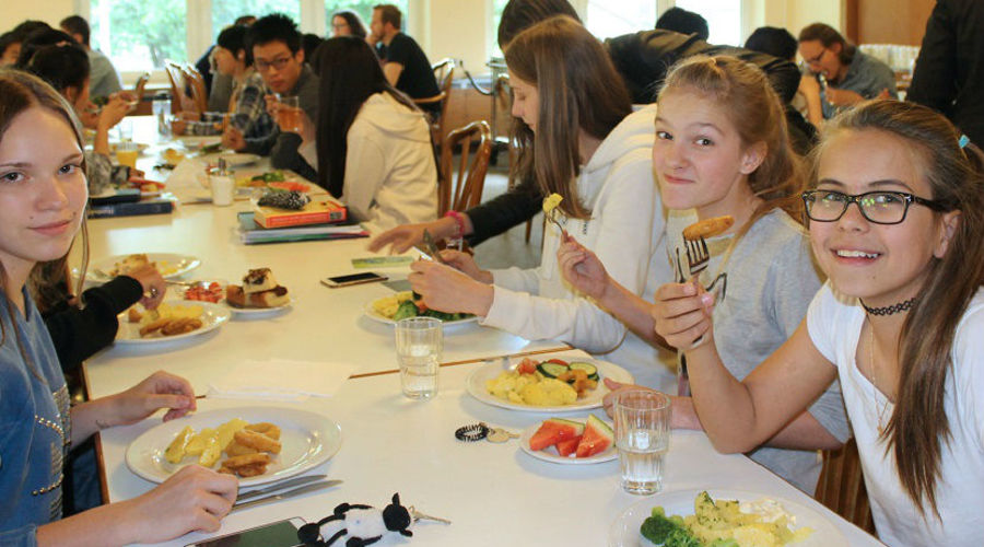 Humboldt Institut - Bad Schussenried - Almanya