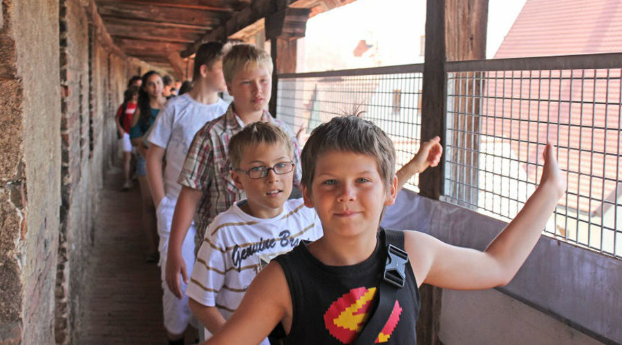 Humboldt Institut - Viyana- Avusturya