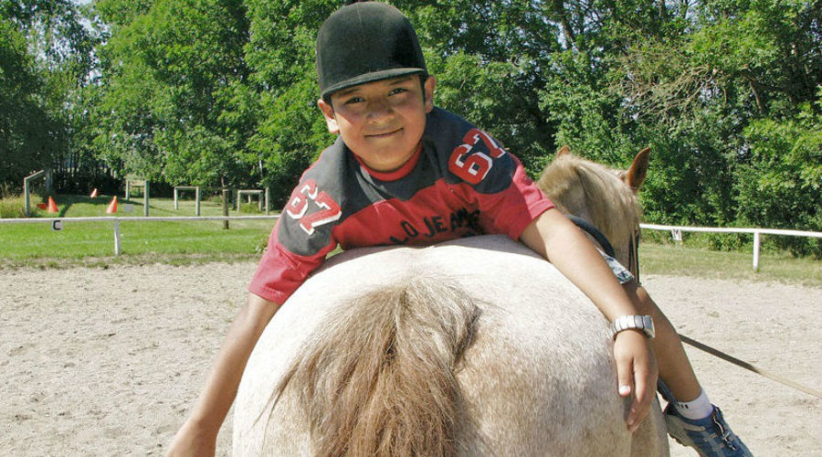 Humboldt Institut - Viyana- Avusturya