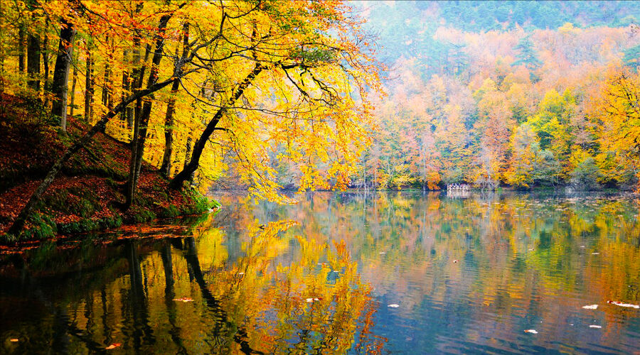 Yedigöller - Gölcük - Abant - Ormanya  - Maşukiye - Gölyazı Turu