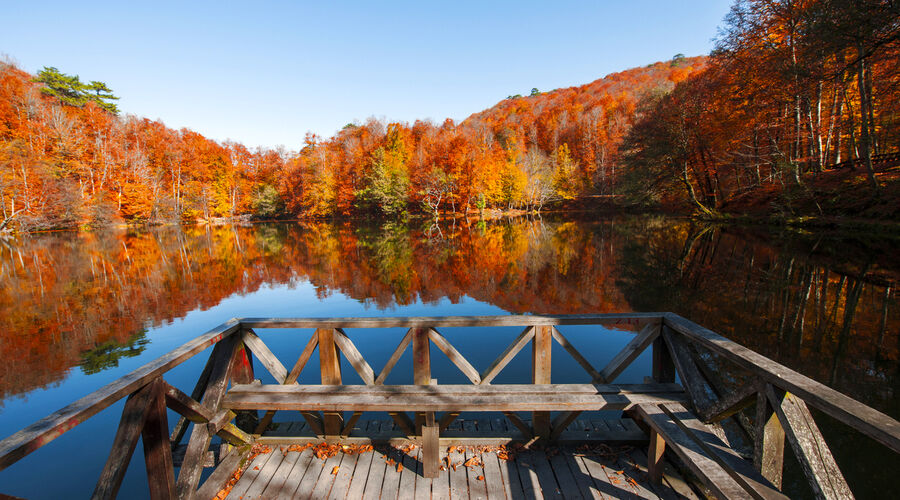Yedigöller - Gölcük - Abant - Ormanya  - Maşukiye - Gölyazı Turu