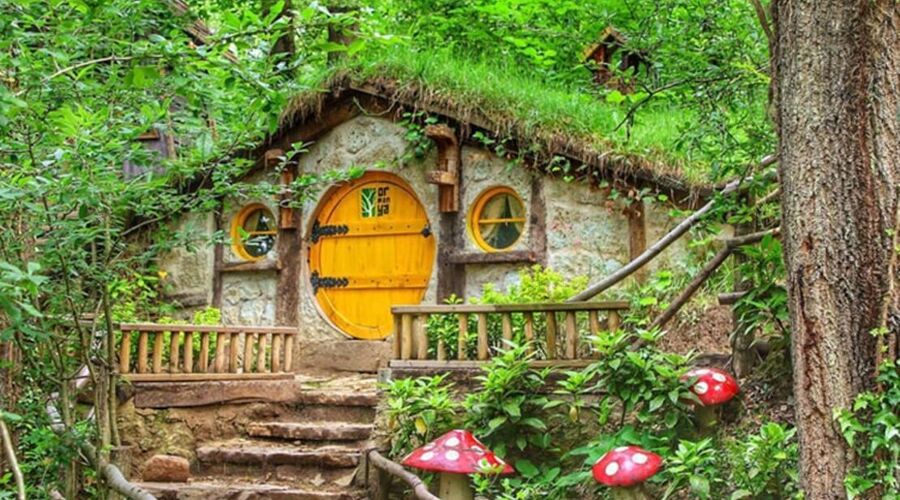 Yedigöller - Gölcük - Abant - Ormanya  - Maşukiye - Gölyazı Turu