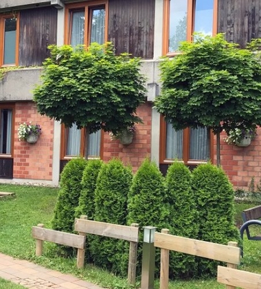 DID - Oberwesel - Almanya