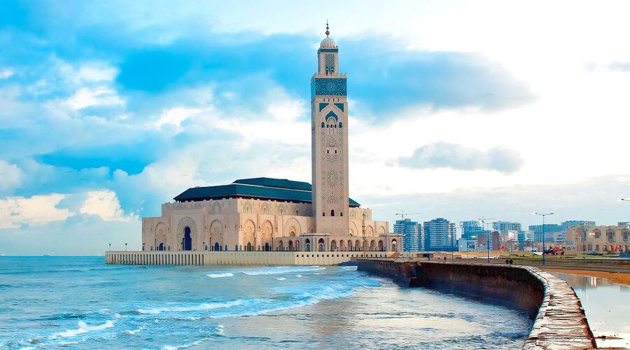 ELEGANT SAHRA ÇÖLÜ & FAS İKONLARI