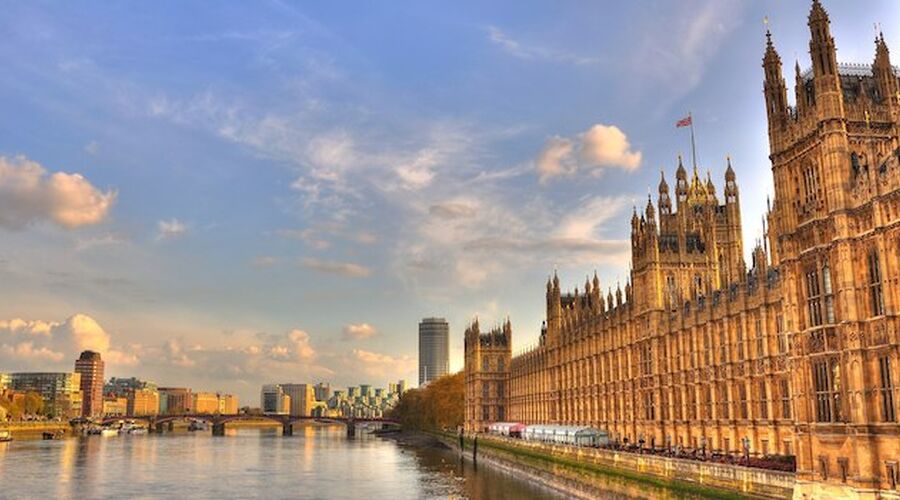 InvestIN · University College London