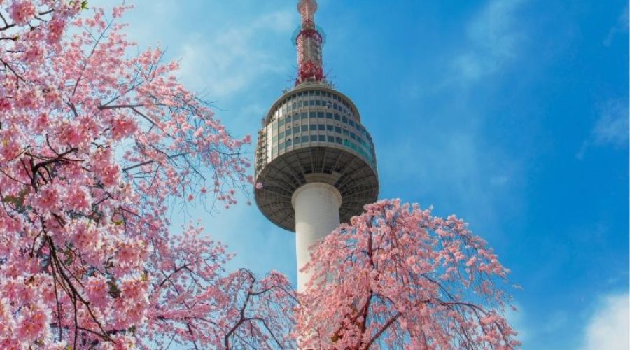 İzmir Çıkışlı Sakura Dönemi Japonya ve Kore Turu