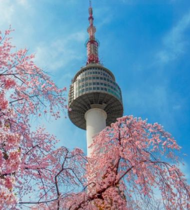 İzmir Çıkışlı Sakura Dönemi Japonya ve Kore Turu