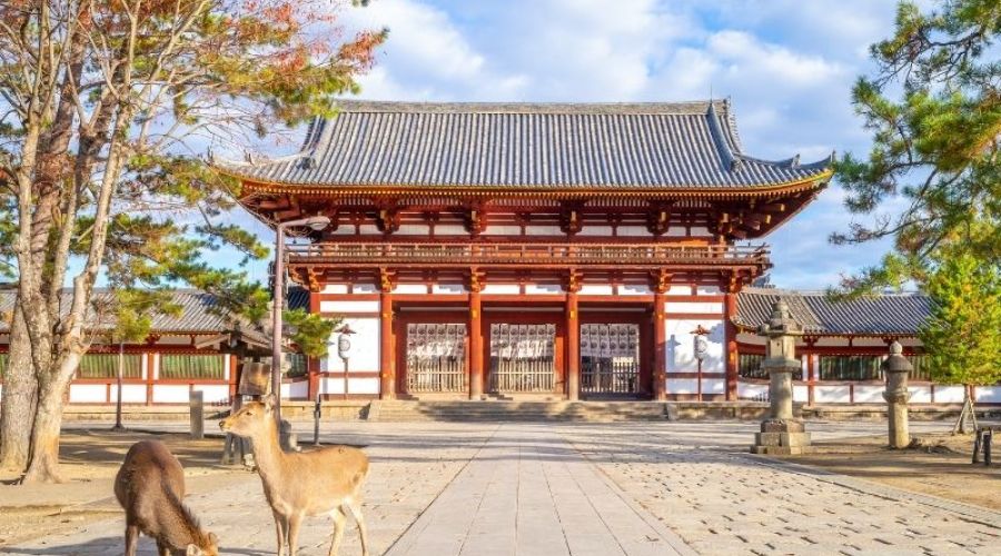 İzmir Çıkışlı Sakura Dönemi Japonya ve Kore Turu