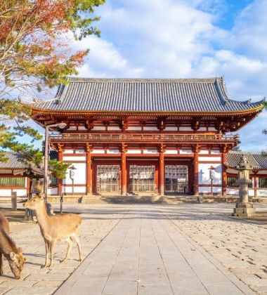 İzmir Çıkışlı Sakura Dönemi Japonya ve Kore Turu