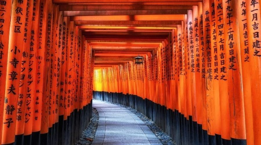 İzmir Çıkışlı Sakura Dönemi Japonya ve Kore Turu