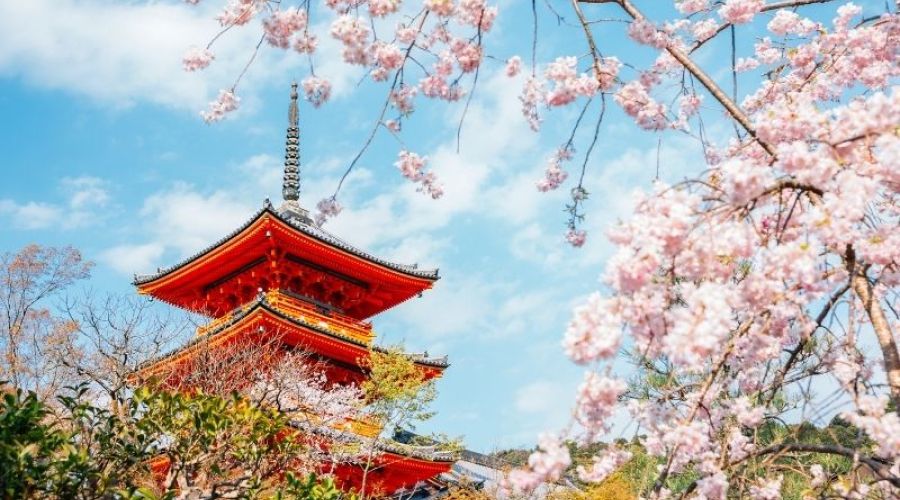 İzmir Çıkışlı Sakura Dönemi Japonya ve Kore Turu