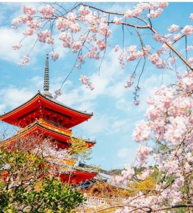 İzmir Çıkışlı Sakura Dönemi Japonya ve Kore Turu
