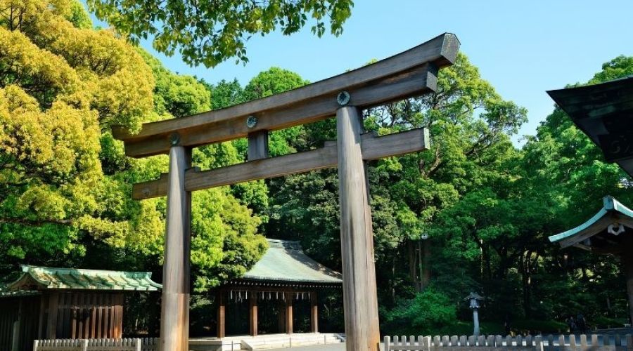 İzmir Çıkışlı Sakura Dönemi Japonya ve Kore Turu