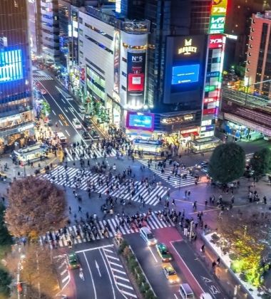 İzmir Çıkışlı Sakura Dönemi Japonya ve Kore Turu