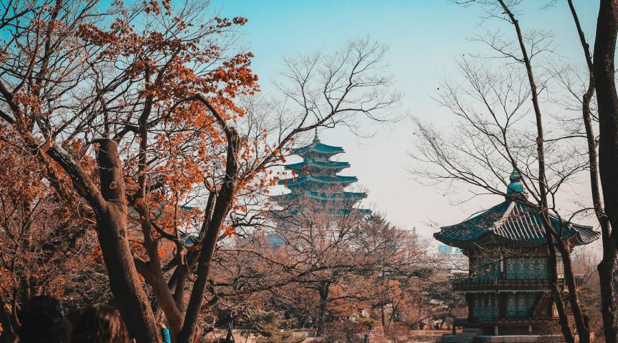İzmir Çıkışlı Sakura Dönemi Japonya ve Kore Turu