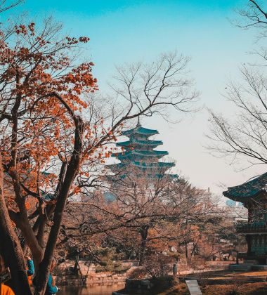 İzmir Çıkışlı Sakura Dönemi Japonya ve Kore Turu