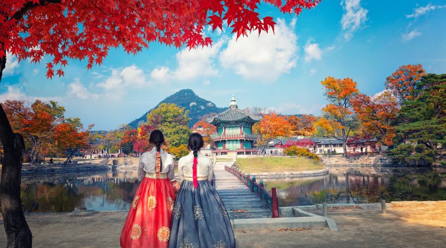 İzmir Çıkışlı Sakura Dönemi Japonya ve Kore Turu