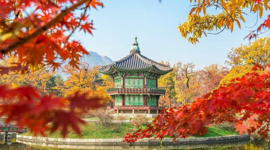 İzmir Çıkışlı Sakura Dönemi Japonya ve Kore Turu