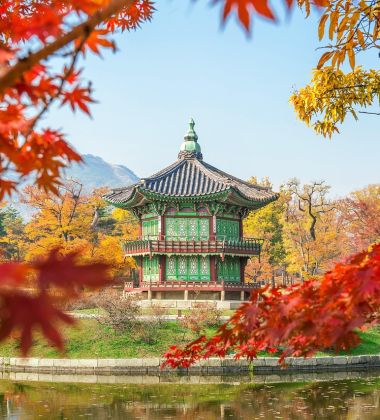 İzmir Çıkışlı Sakura Dönemi Japonya ve Kore Turu