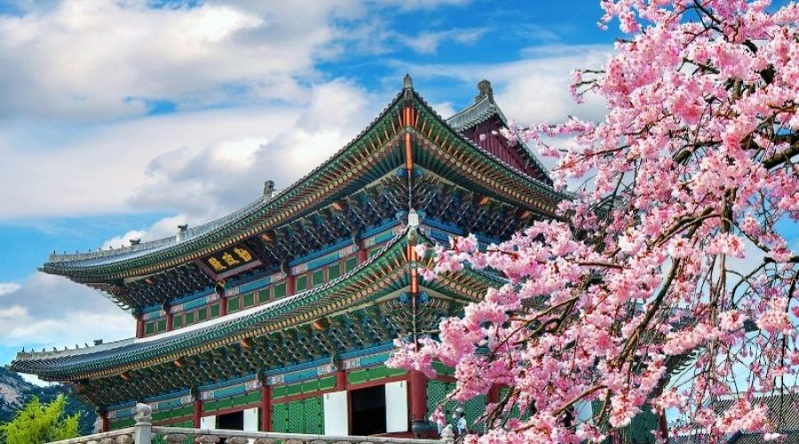 İzmir Çıkışlı Sakura Dönemi Japonya ve Kore Turu