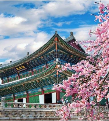 İzmir Çıkışlı Sakura Dönemi Japonya ve Kore Turu