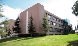 Enforex - Madrid - İspanya