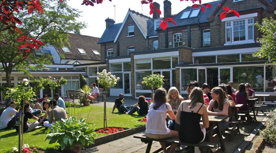 Wimbledon School of English - Wimbledon - İngiltere