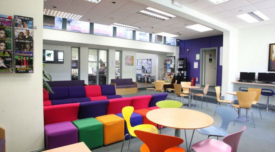 Wimbledon School of English - Wimbledon - İngiltere