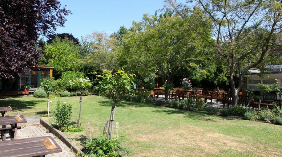 Wimbledon School of English - Wimbledon - İngiltere