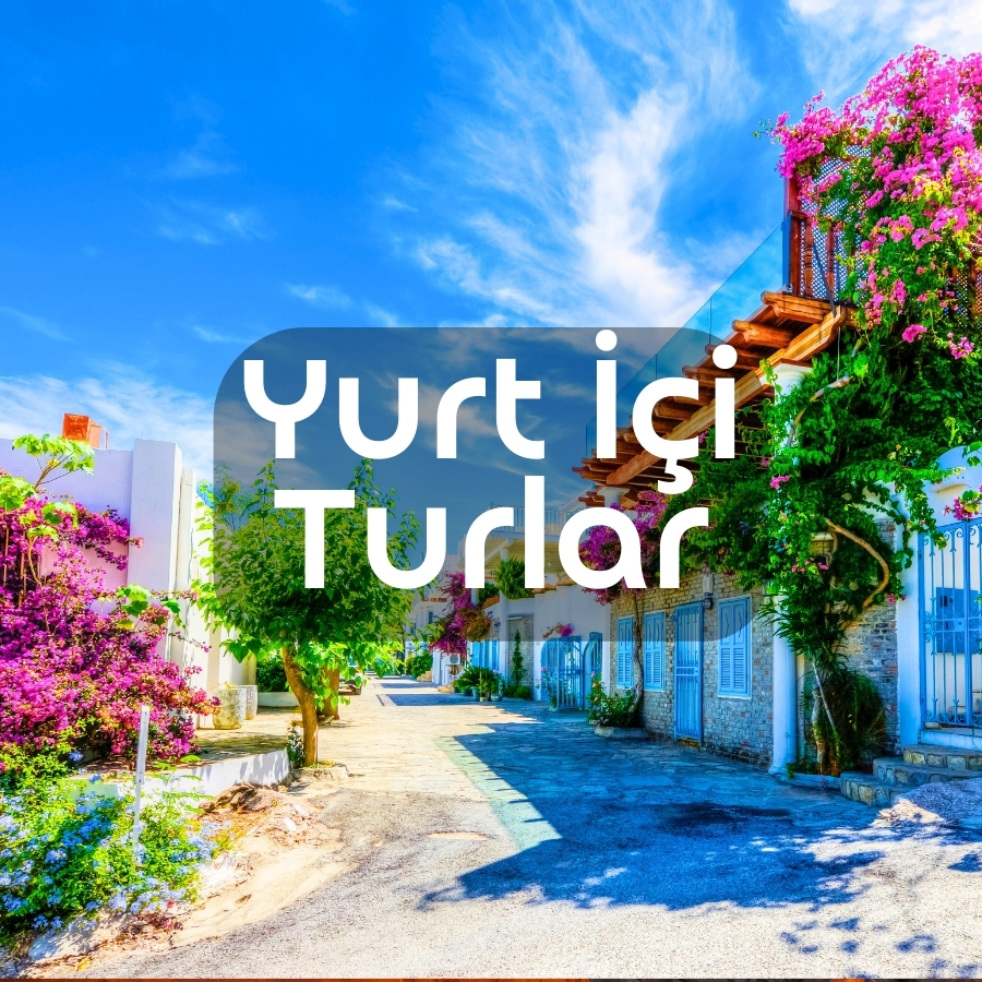 Yurt İçi Turlar